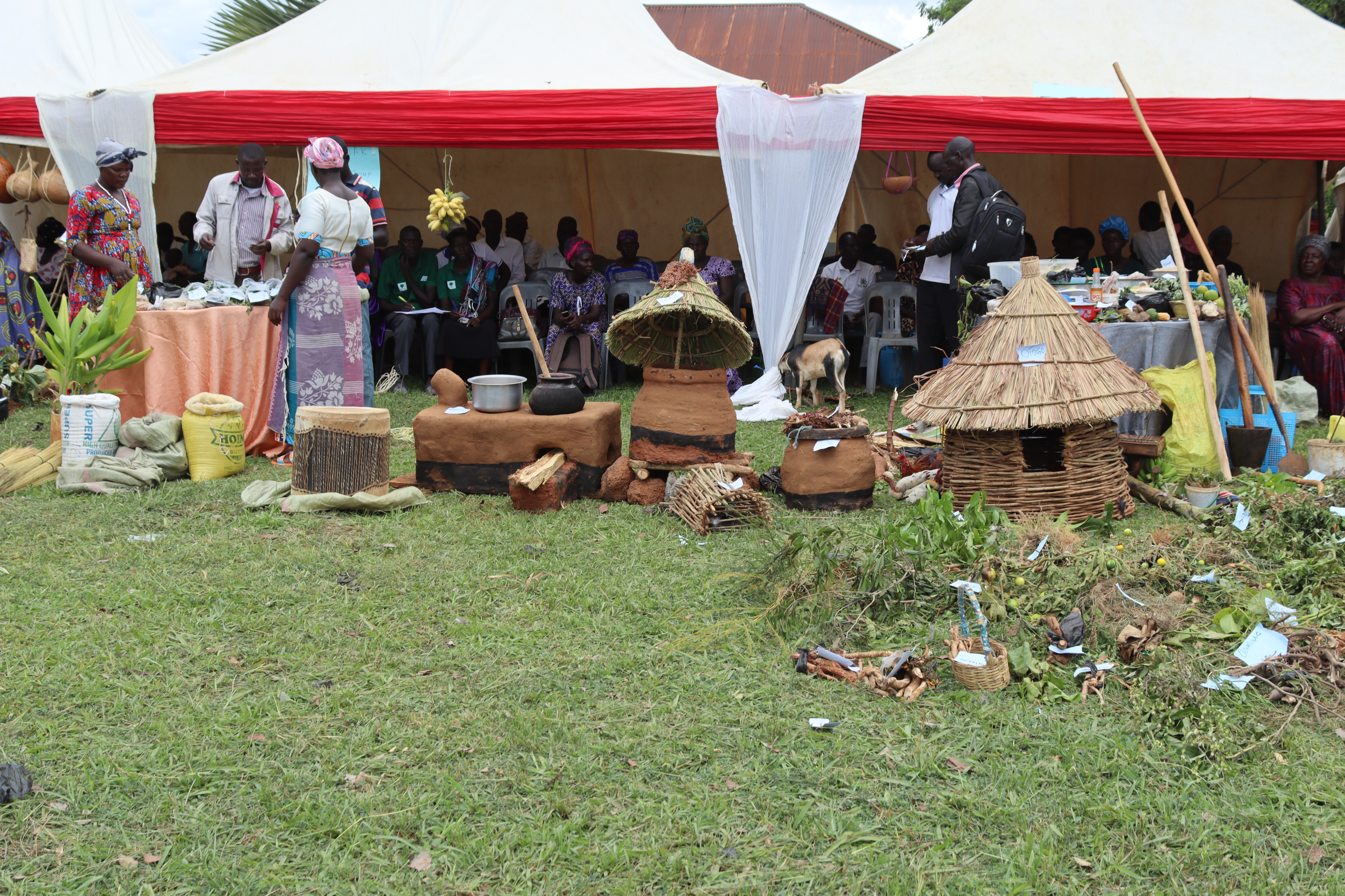 Food and seed fair display